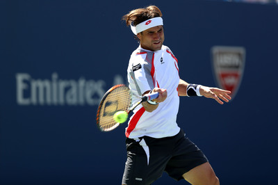 David Ferrer.jpg